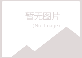 黄山山柏工程有限公司